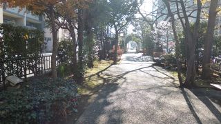 静かに散歩したいときに良い緑道です