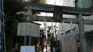 近所の小さなお子さんが手を合わせていました。