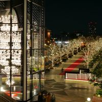 恵比寿ガーデンプレイス イルミネーション