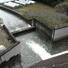 ダム堤体上から下流側を望む