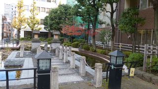 紅葉がきれいでした。