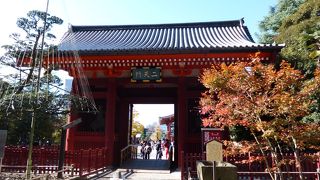 写真を撮っている人が多い場所です