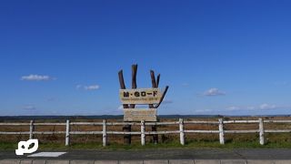 広大な湿原の中を貫くルート