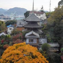 ロープウェイからの眺め