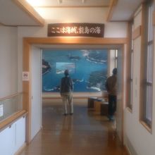 展示内部は撮影禁止です