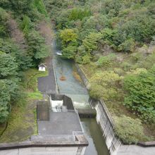 ダム堤体上からから下流側を望む