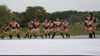 オータムフェスティバルを見てきました。