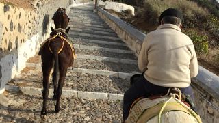 とても楽しいロバタクシー