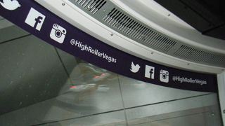 世界最大らしいです