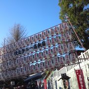 徳川将軍家の祈願寺であり、虫封じのご利益で江戸庶民に親しまれた寺院です！
