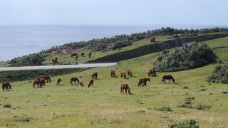 与那国空港の西にある