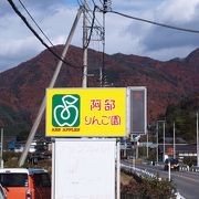 アップルパイがとても美味しい