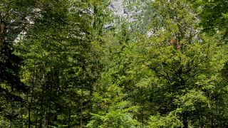 徒歩25分かかり，結構登る　滝目当てなら行かなくていい