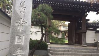 大イチョウの寺