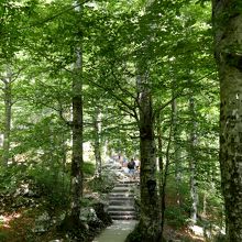 階段を延々と登る