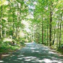 まわりの道はきれい