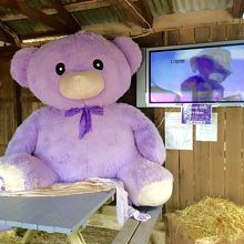 中国人に人気のマスコットのボビーちゃん！