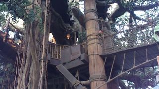 ターザン・ツリーハウス