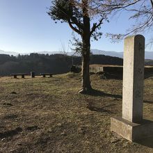 本丸跡（木の裏手久住山）