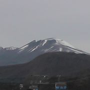 子供連れファミリー向けです