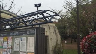 小川の流れる公園