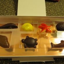 ハワイ限定チョコレート（中身）