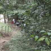 鎌倉の手軽なハイキングで健康的な一日