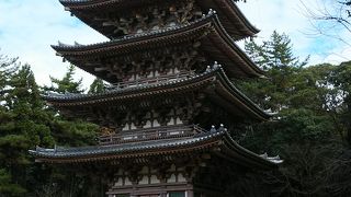 広大な境内で散策がお薦めです