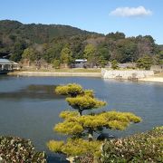 広すぎて回りきれない公園