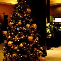 利用した時期にはツリーも飾られていました。