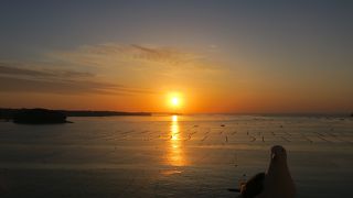 ホテル観洋から