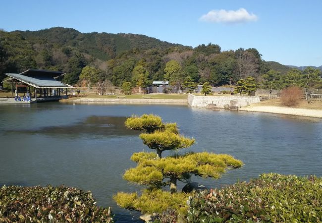 広すぎて回りきれない公園