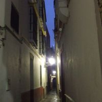 こんな路地奥にあります