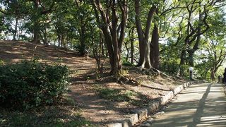 思っていたよりも小さい