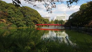 赤い色が映えます