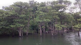 一回は見るべき！