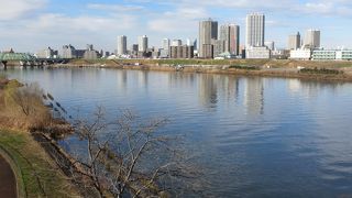 春は散歩に最適です