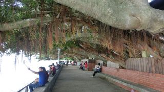 お気に入りの場所になりました。