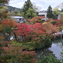 池の周りの紅葉も素敵