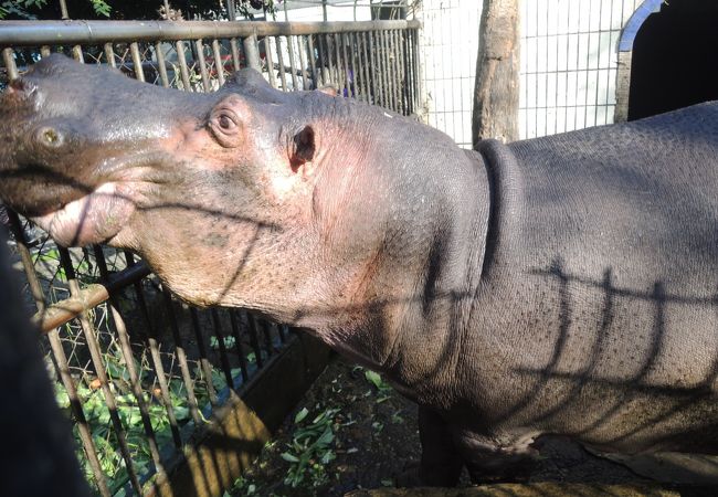 昆明動物園