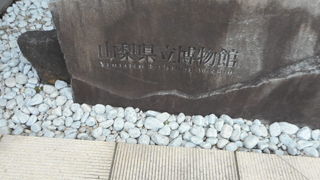 きれいな博物館