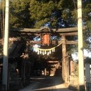 趣のある神社でした