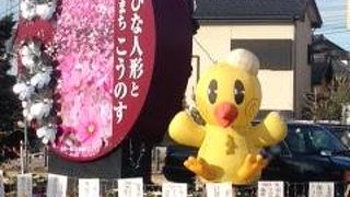 ひなちゃんがいます