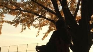 静かで落ち着いた公園です