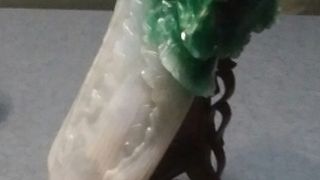 写真撮影が可能になりました