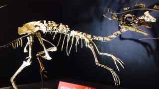 面白かったです。