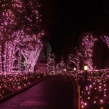 薄紫色のLEDが幻想的で素敵な空間を作り出しています