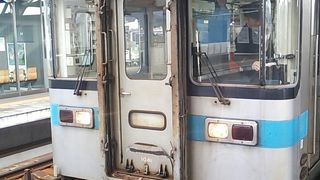 1000系～土讃線の普通列車の主力～