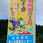 風間浦村活イカ備蓄センター クチコミ アクセス 営業時間 下北半島 フォートラベル