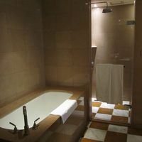 シャワーは別タイプ